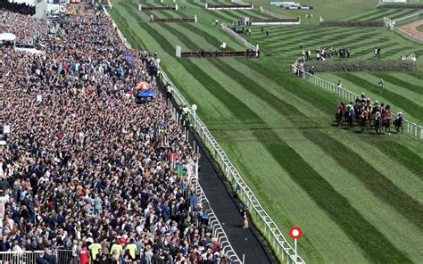 grand national 2018|Live results from the Grand National 2018.